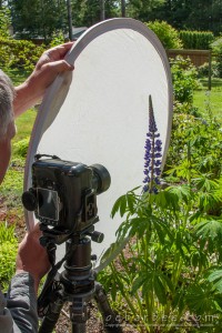 Using a diffuser