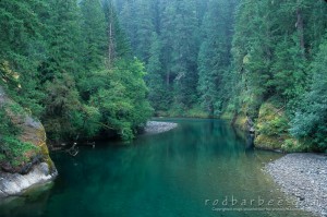 Clear fork, Cowlitz River