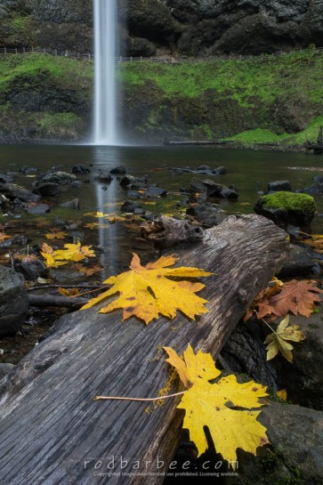 Sout Falls at Silver Falls State Park, OR