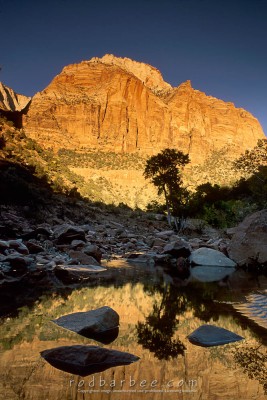 The East Temple, Zion National Park, UT