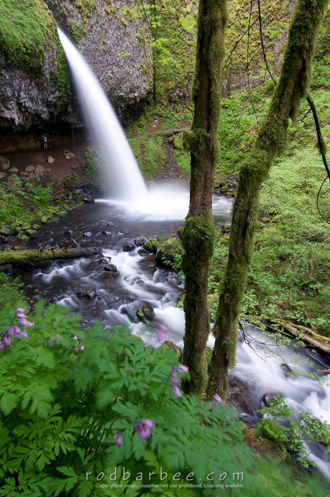 Upper Horsetail Falls focused on background