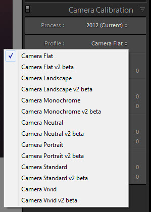Lightroom camera calibration options