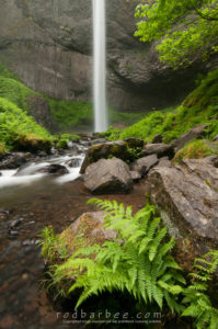 Latourell Falls. background of focus blend.