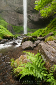 Latourell Falls. foreground for focus blend.