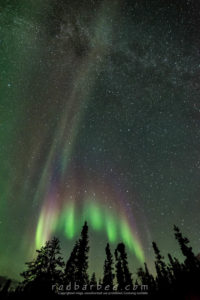 Aurora crown from Aurora Village
