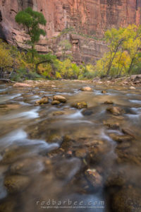 Virgin River in the Temple of Sinewava, Zion National Park, UT