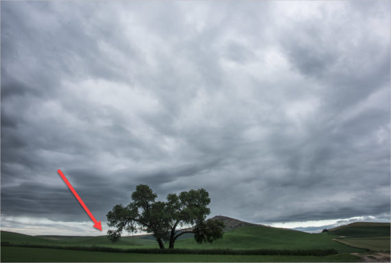 Lone tree with Steptoe Butte in the background found during Rod Barbee Palouse photo workshop.