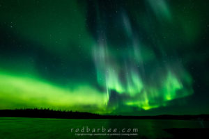 Aurora over Prosperous Lake. Yellowknife, Northwest Territories, Canada