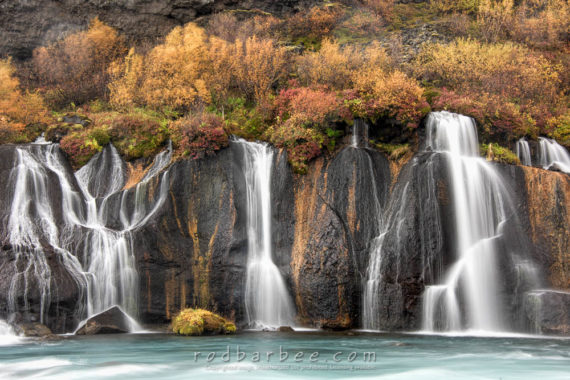 Hraunfossar waterfall and fall color.