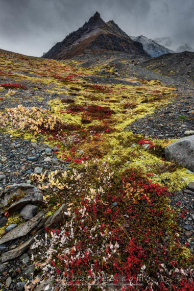 Fall color and rocky peak near  Öræfajökull volcanic glacier in Vatnajökull National Park.