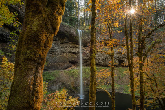 South Falls, Silver Falls State Park, OR.