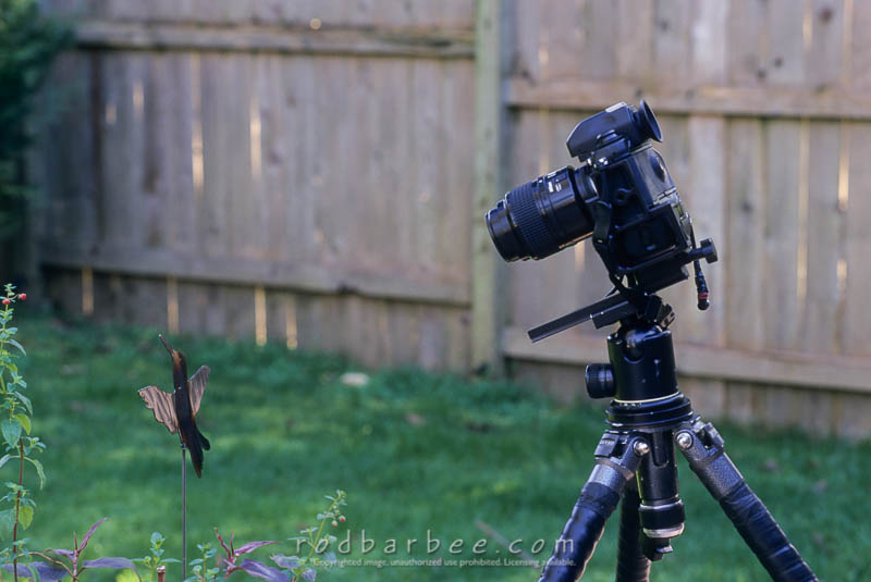 camera above